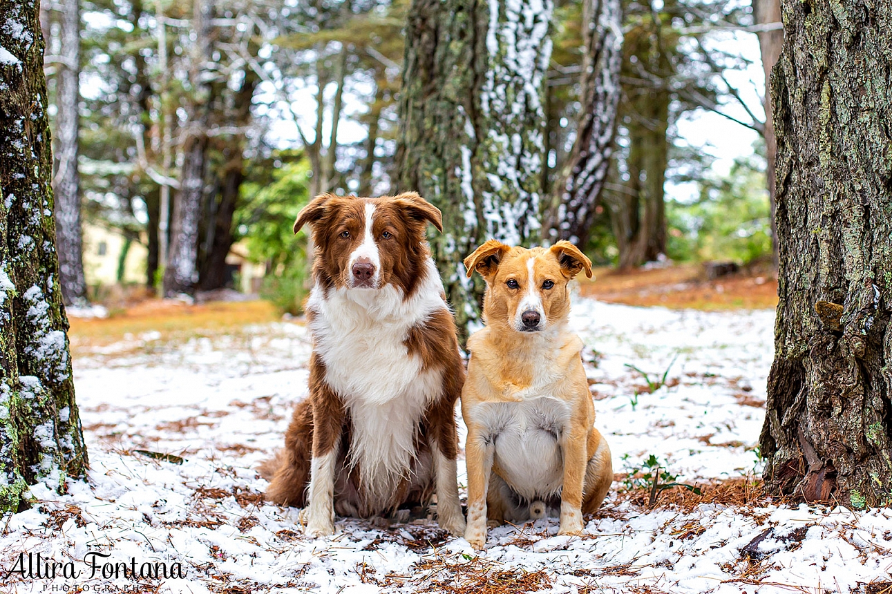 We were in the snow!