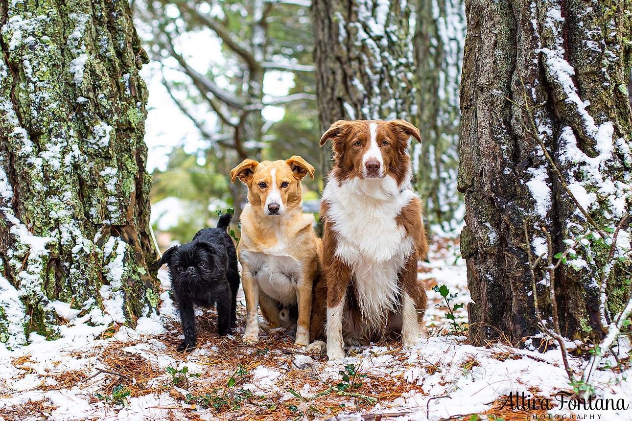 We were in the snow! 