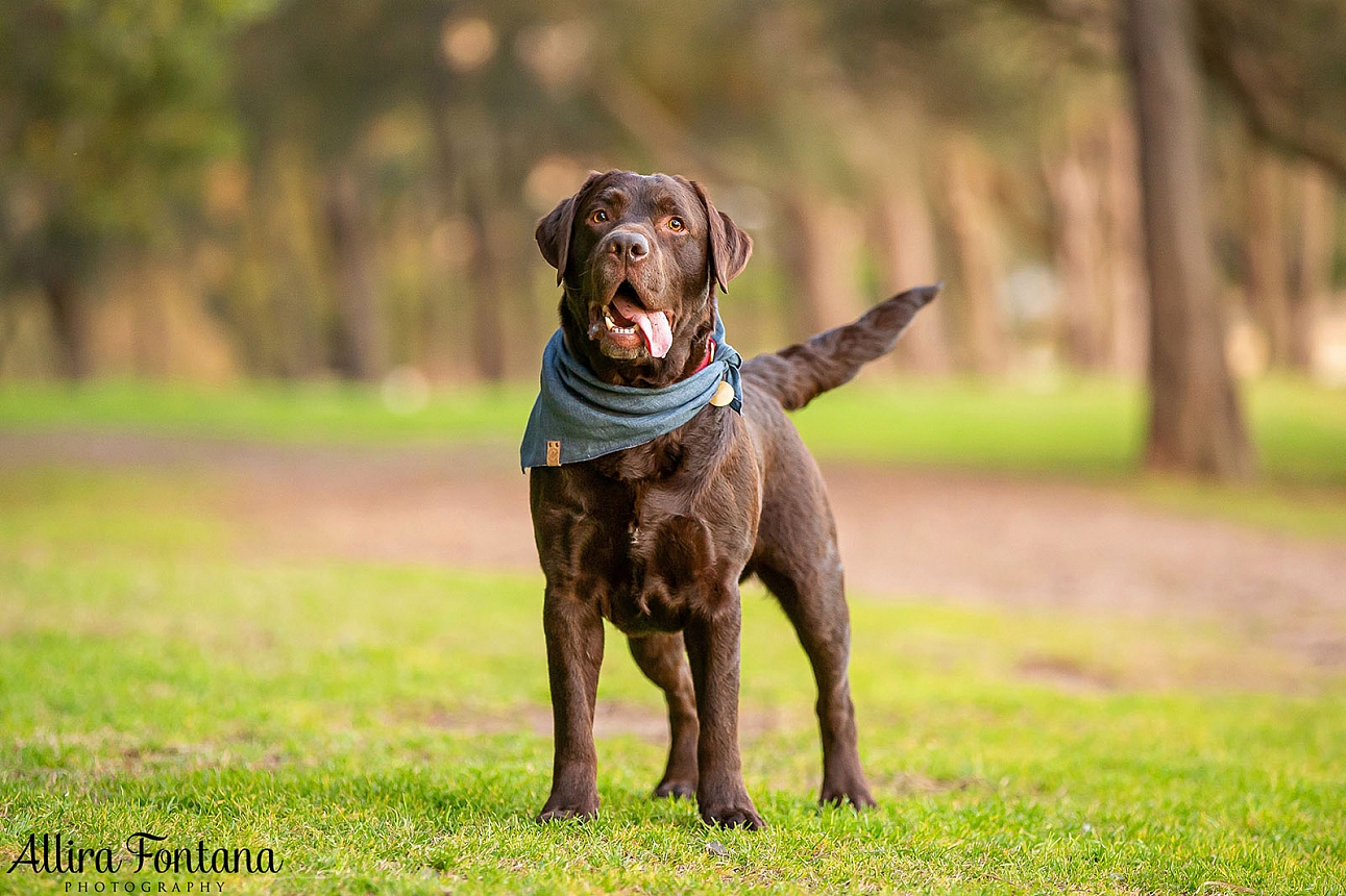 Beren's photo session at Sawmillers Reserve