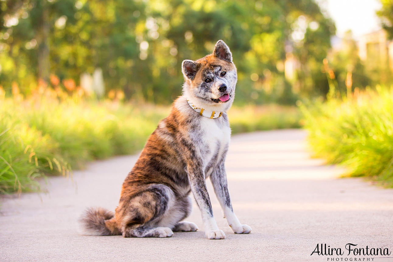 Sakura and Nobu's photo session at Lakes Edge Park 