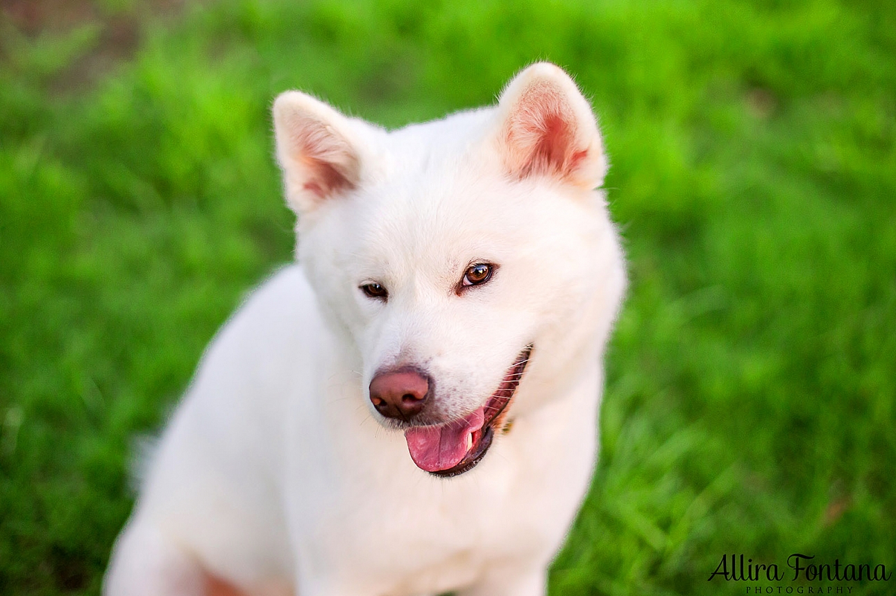 Sakura and Nobu's photo session at Lakes Edge Park