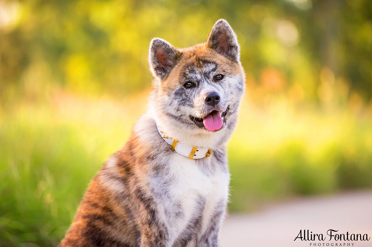 Sakura and Nobu's photo session at Lakes Edge Park