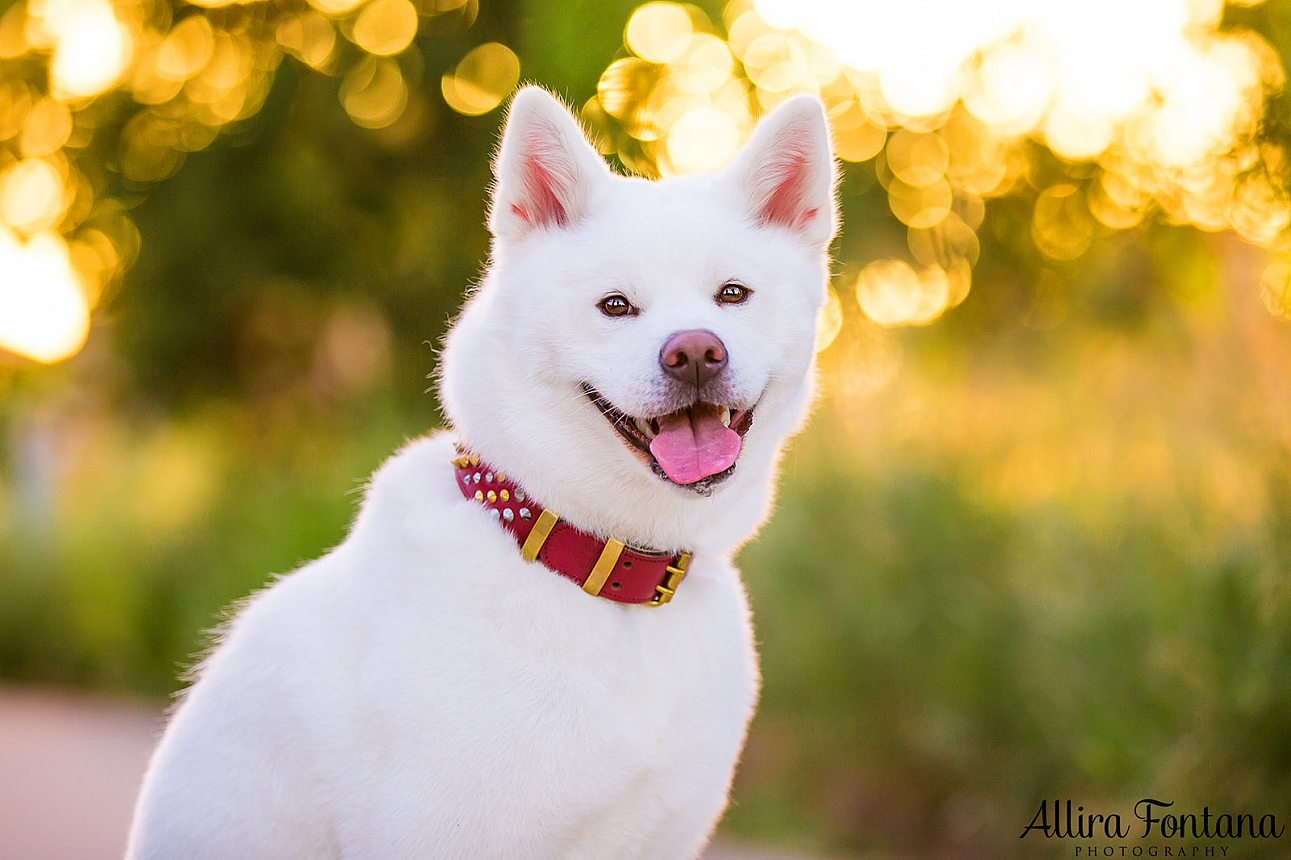 Sakura and Nobu's photo session at Lakes Edge Park 