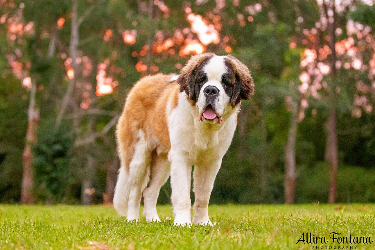 Walter's photo session at Castle Hill Heritage Park 