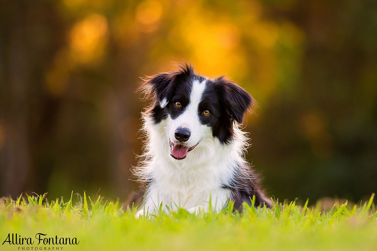 Billie's photo session at Fagan Park 