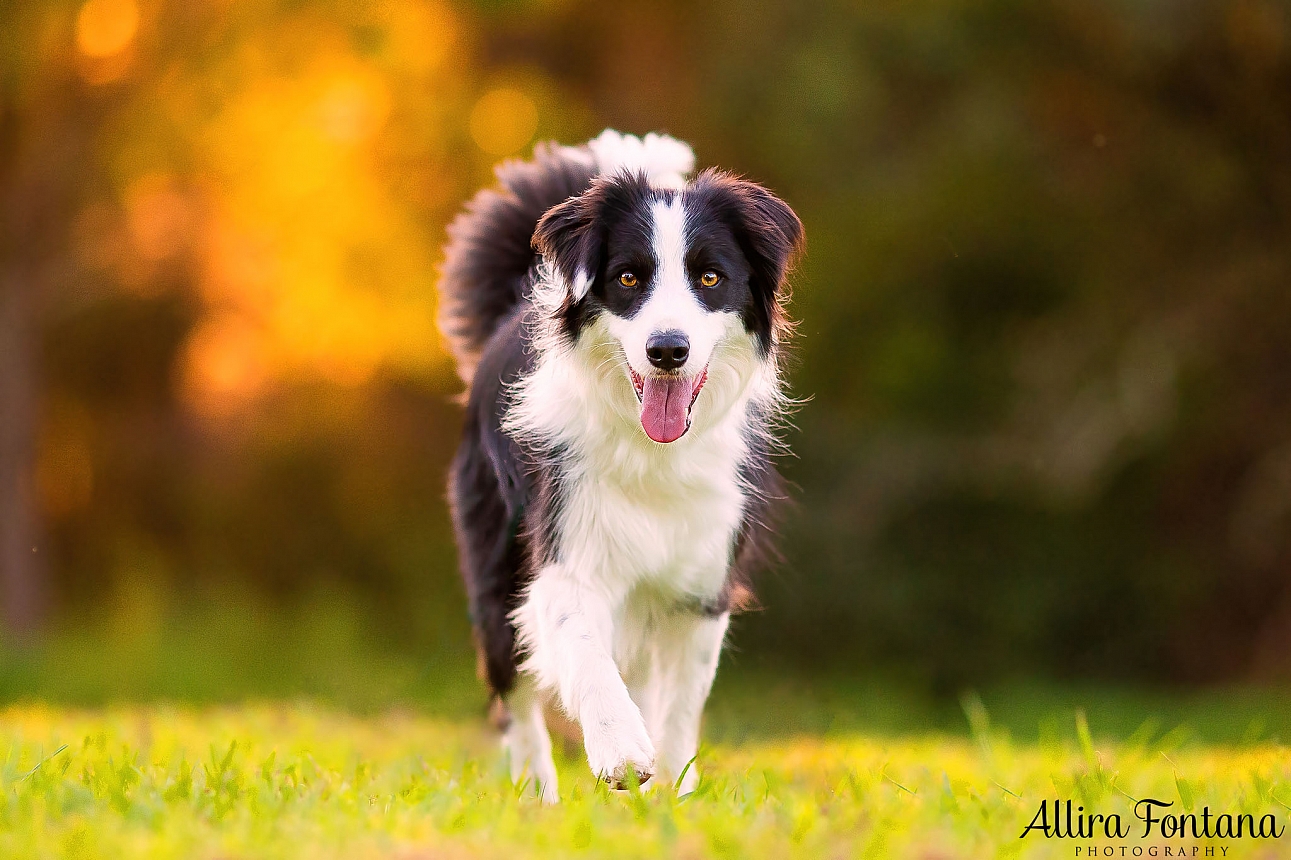 Billie's photo session at Fagan Park 