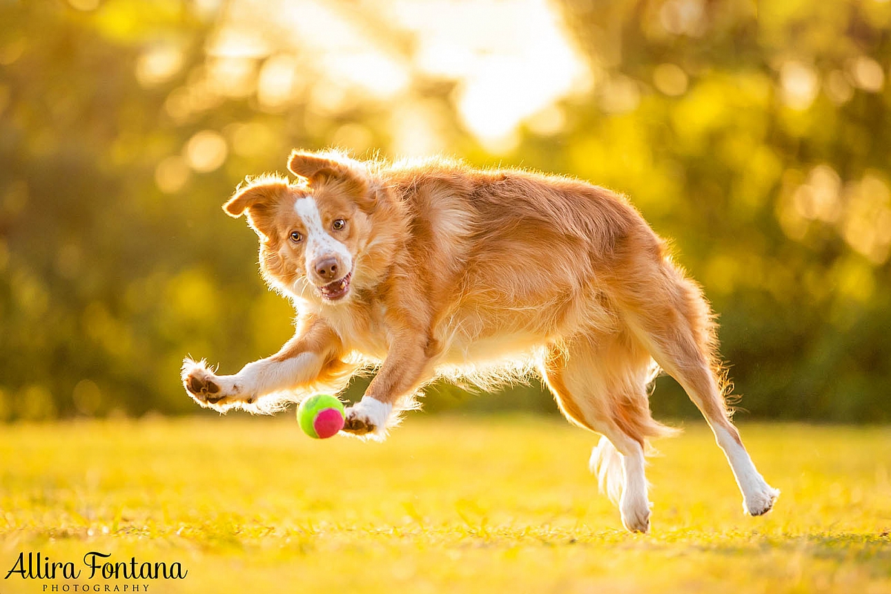 Bailey and Marshall's photo session at Fagan Park 