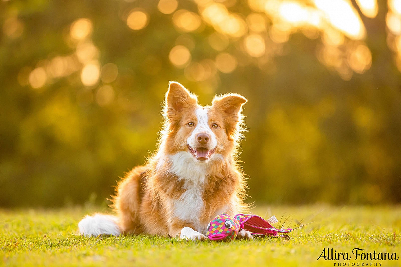 Bailey and Marshall's photo session at Fagan Park 