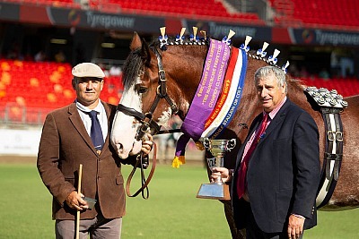 Sydney Royal Easter Show 2021