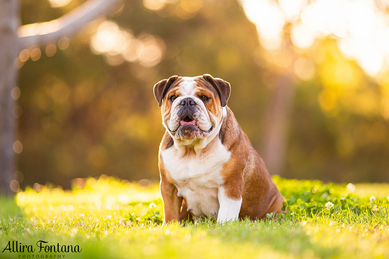 Roxy's photo session at home