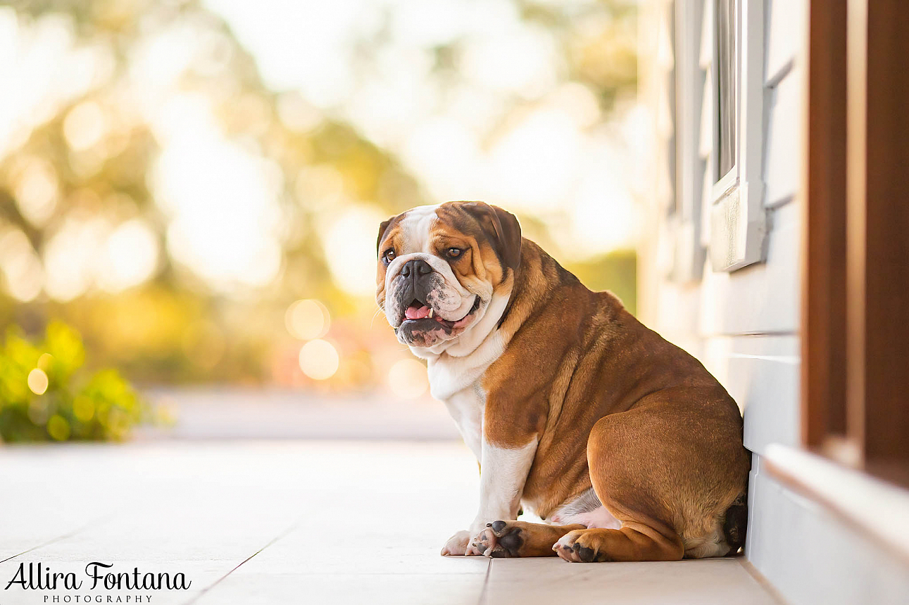 Roxy's photo session at home