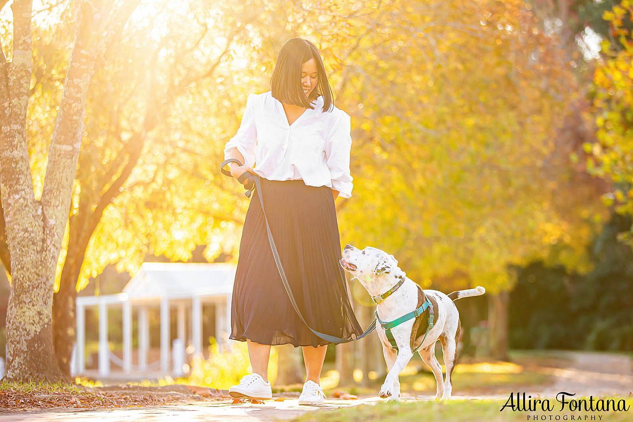 Wonka's photo session at Fagan Park 