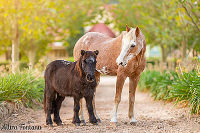 Sandy and Candy's photo session at Mount Hunter