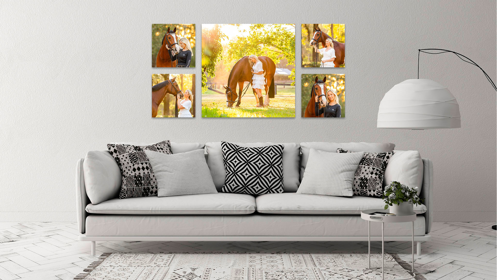 sydney-equine-photographer-wall-art.jpg