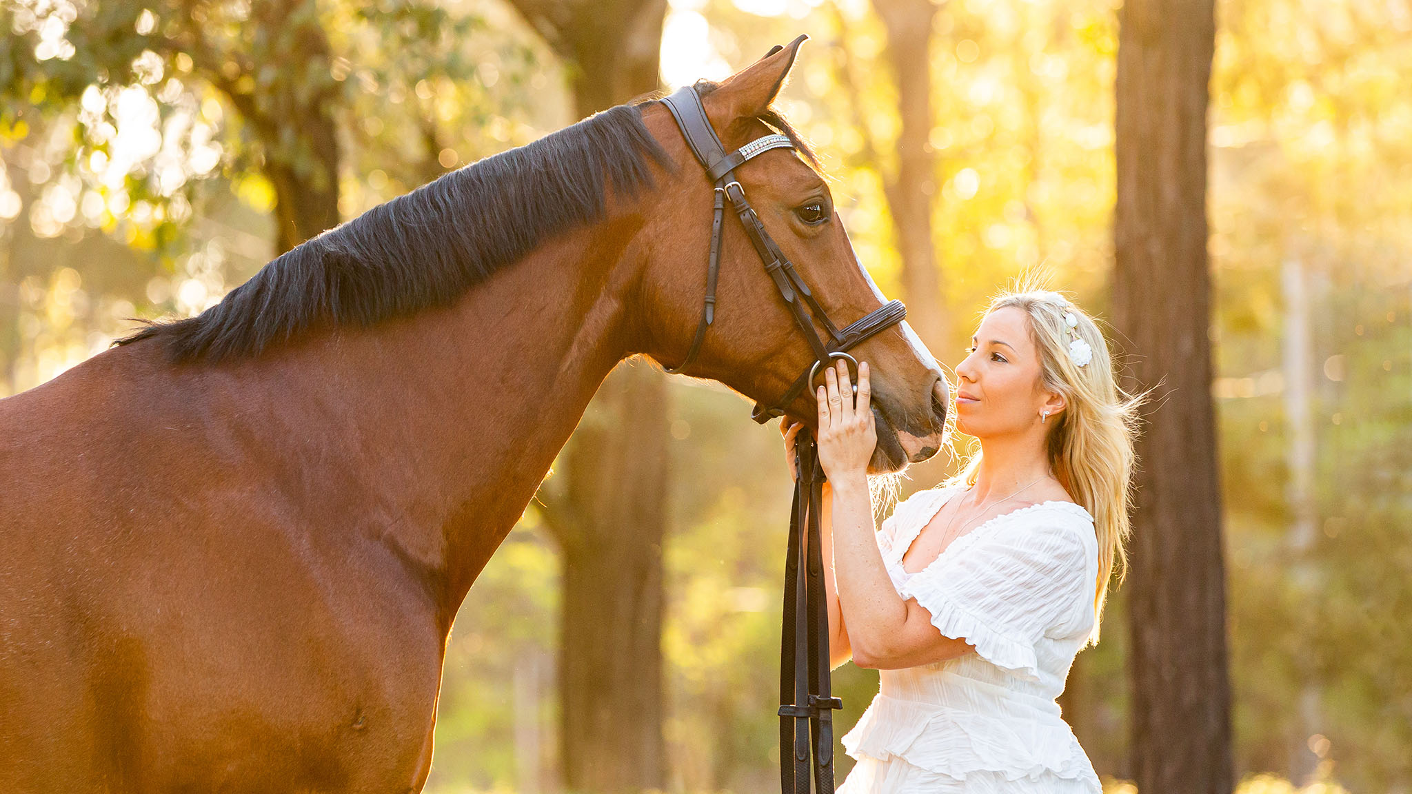 sydney-equine-photographer-showjumping.jpg