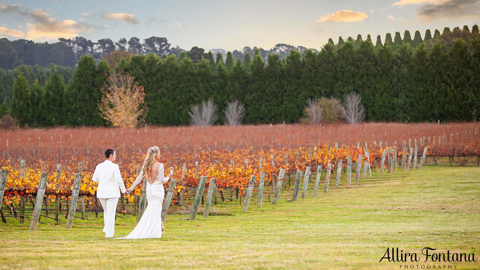 April and Somone's wedding at Southern Highlands Winery 