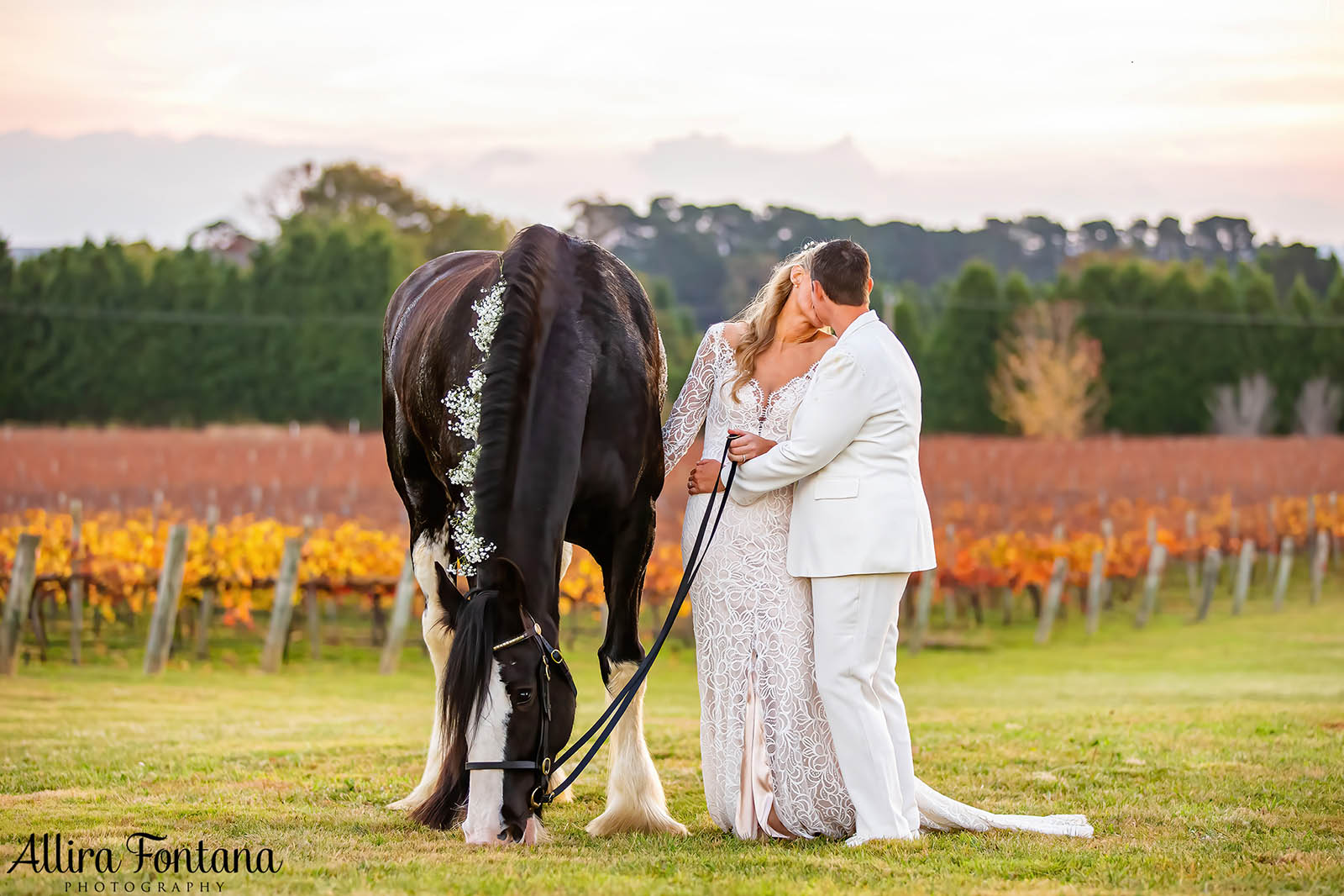 April and Somone's Heavy Horse wedding at Southern Highlands Winery 