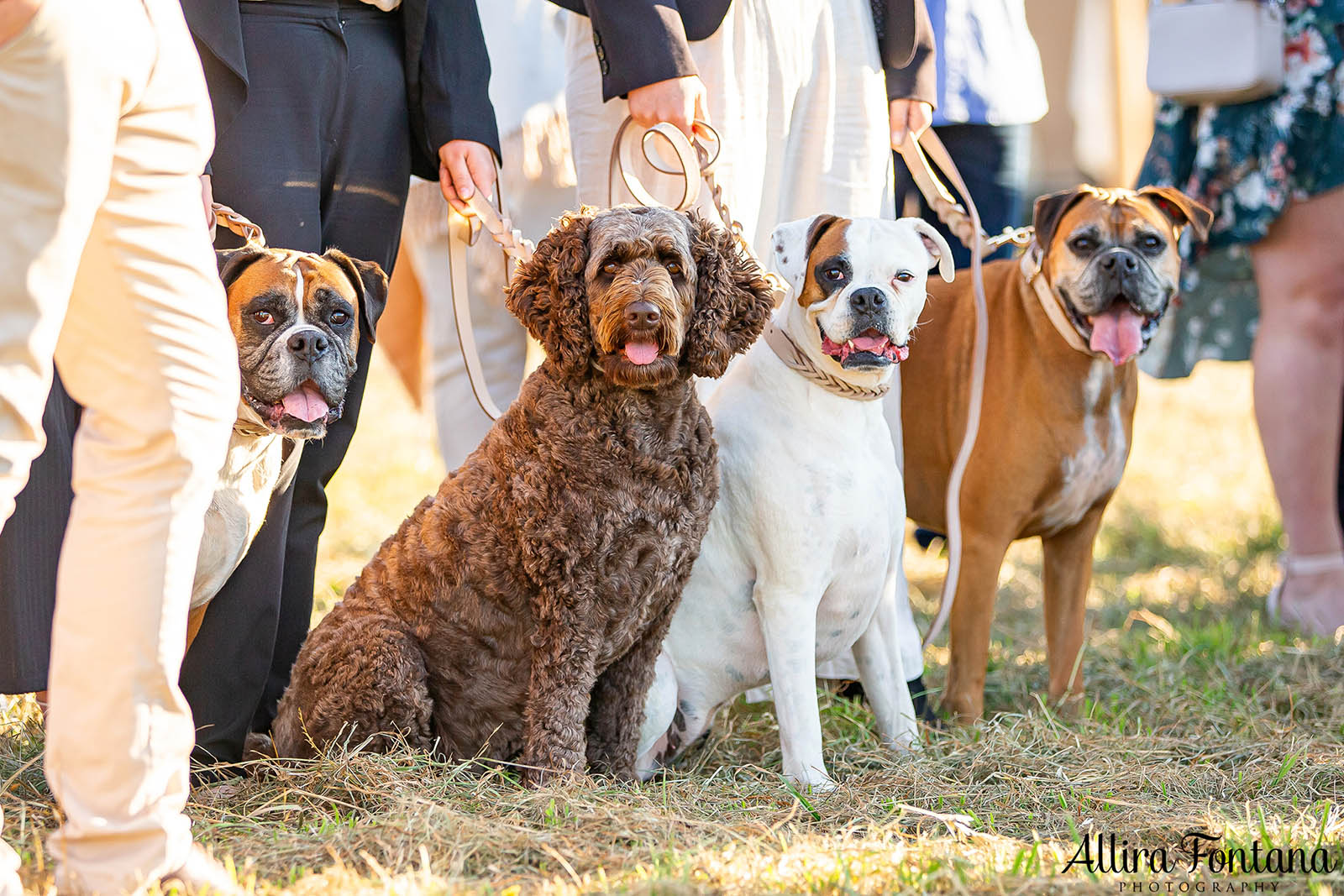 April and Somone's wedding at Southern Highlands Winery 