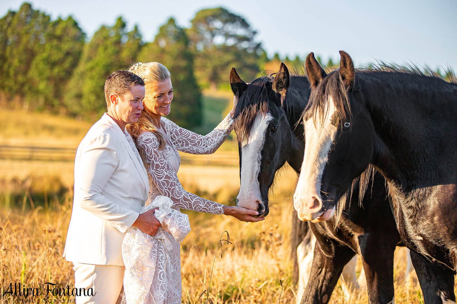 April and Somone's wedding at Southern Highlands Winery 