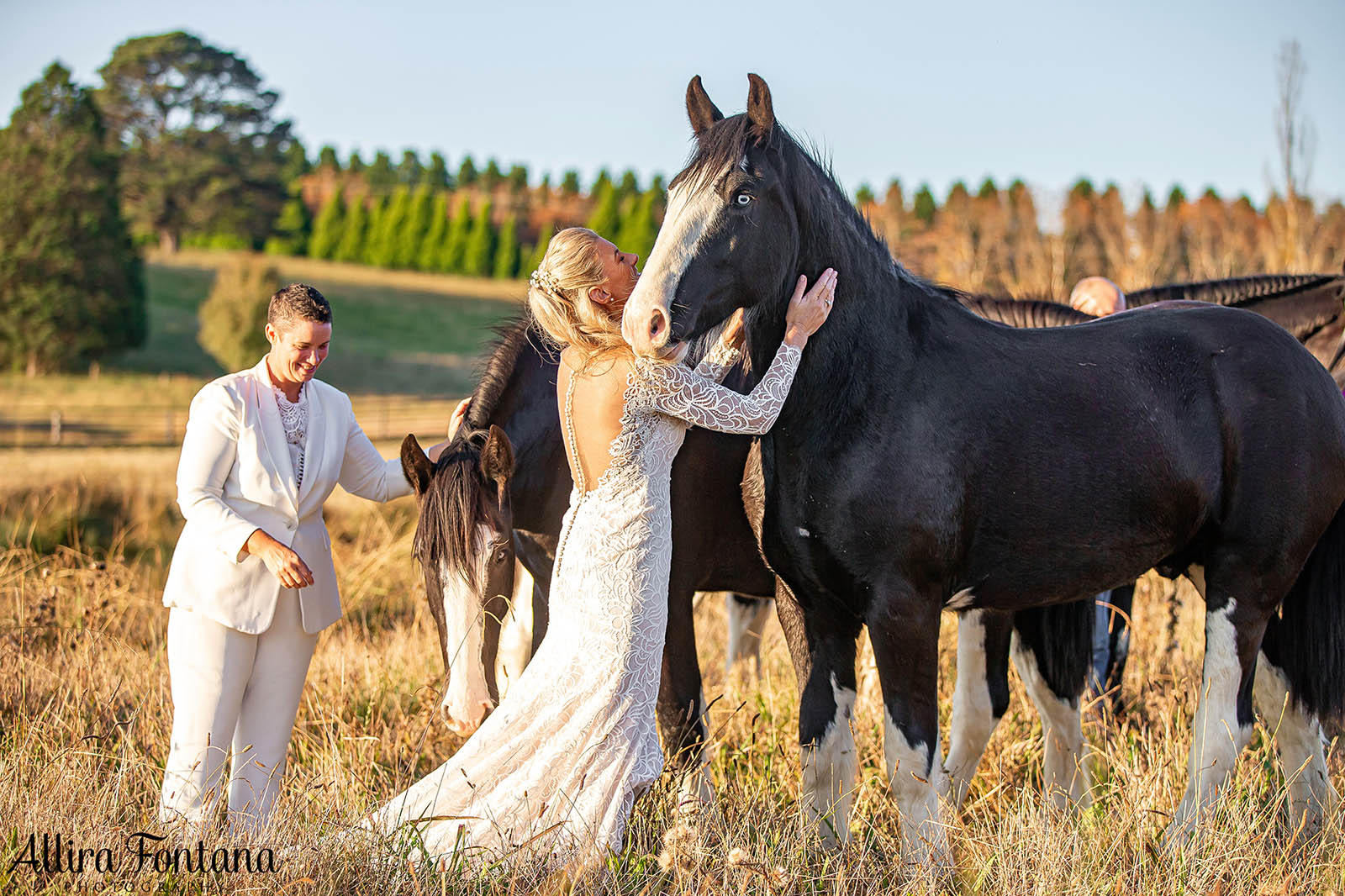 April and Somone's wedding at Southern Highlands Winery 