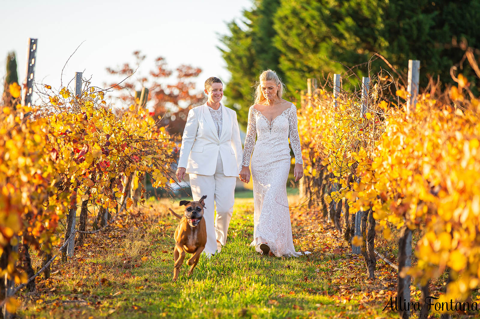 April and Somone's wedding at Southern Highlands Winery 
