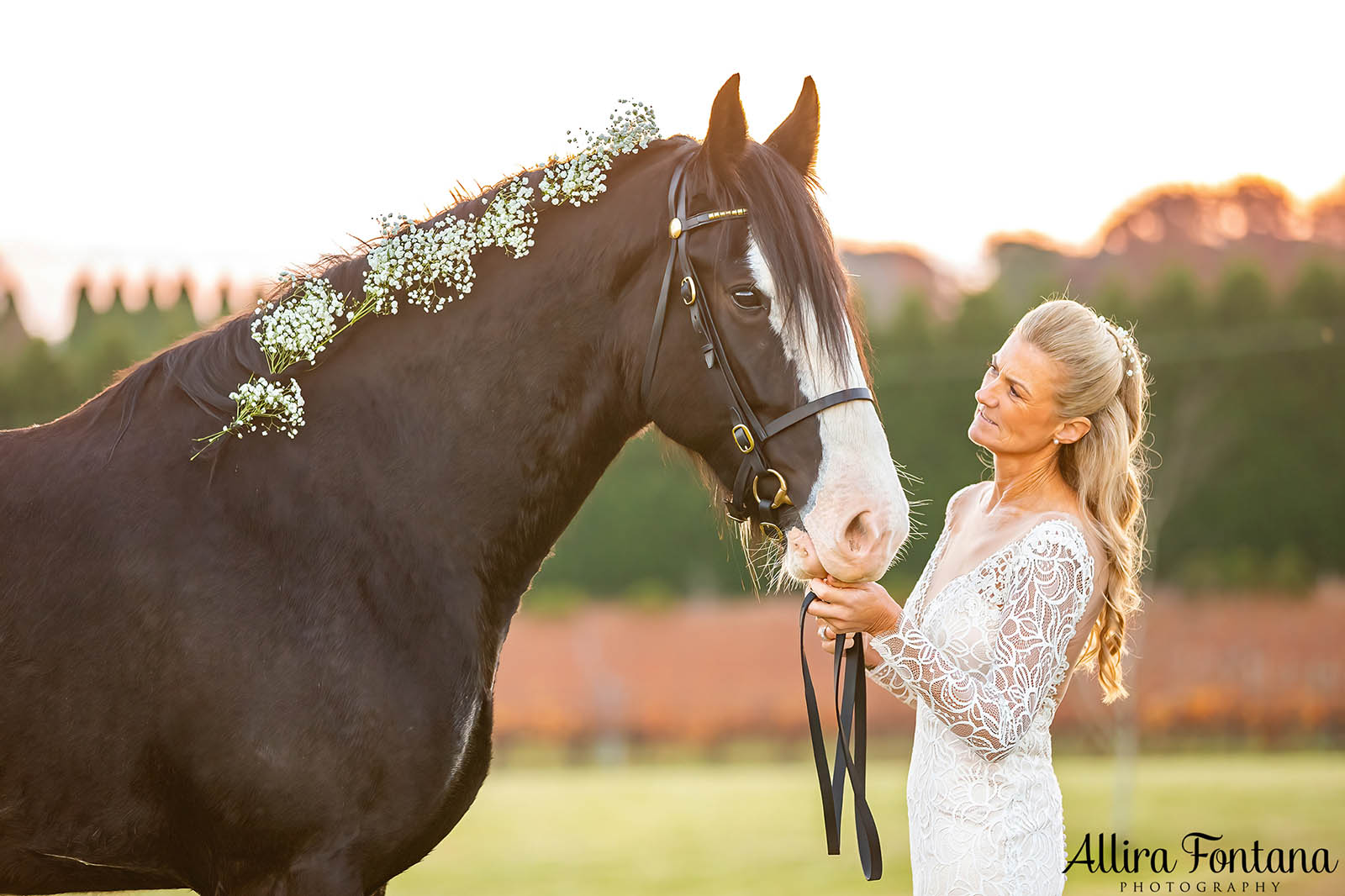 April and Somone's wedding at Southern Highlands Winery 