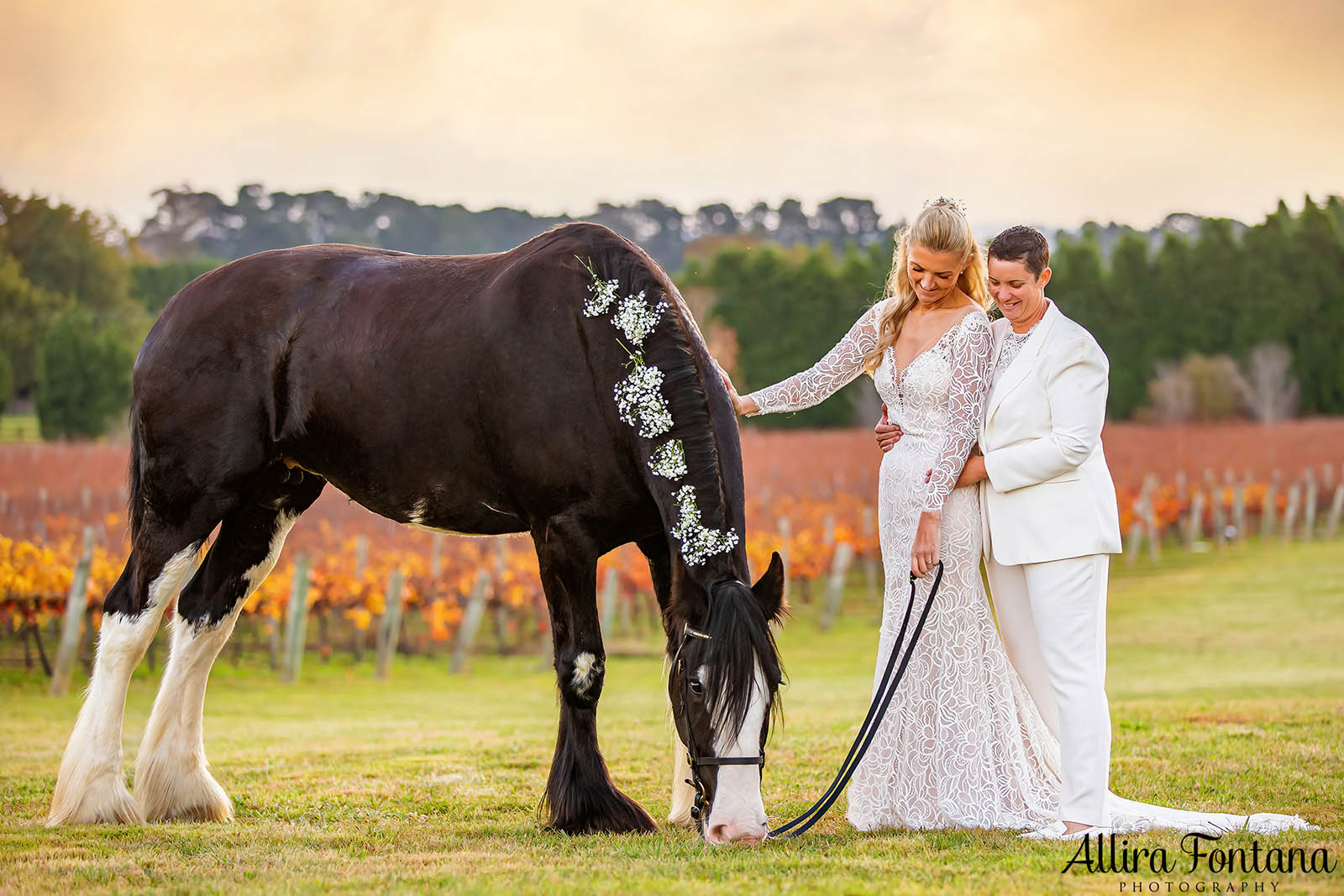 April and Somone's Heavy Horse wedding at Southern Highlands Winery 