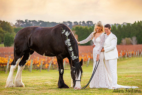 April and Somone's wedding at Southern Highlands Winery