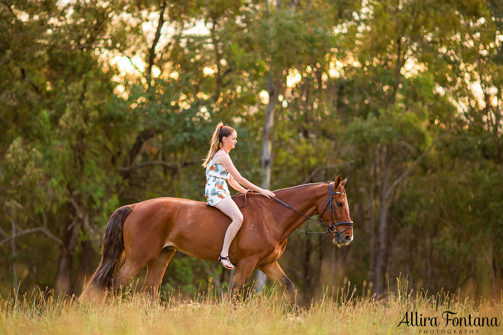 Sponsored rider Mackenzie with Barney and Sunny 