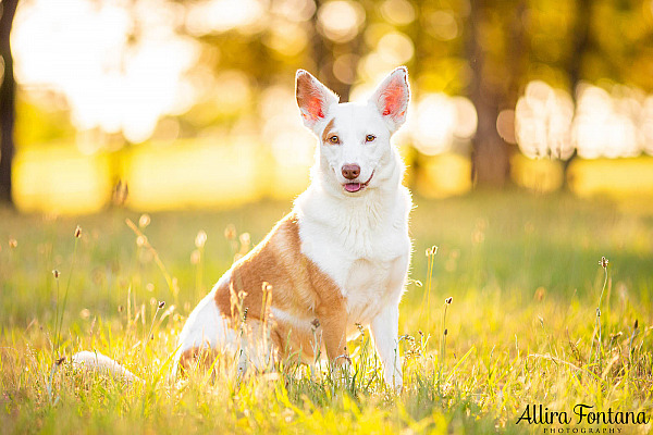 Angel's private photo session at home