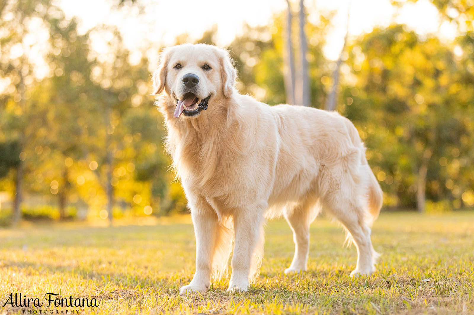 Hamish's photo session at Eric Woods Reserve 