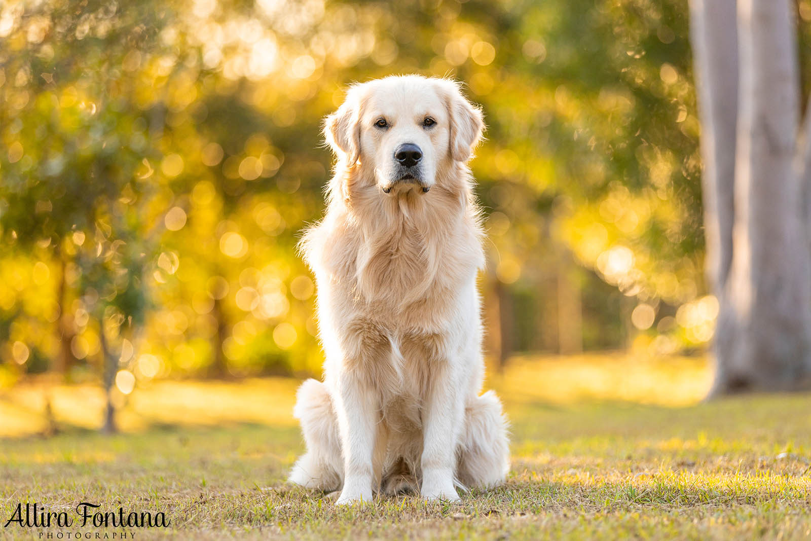 Hamish's photo session at Eric Woods Reserve 