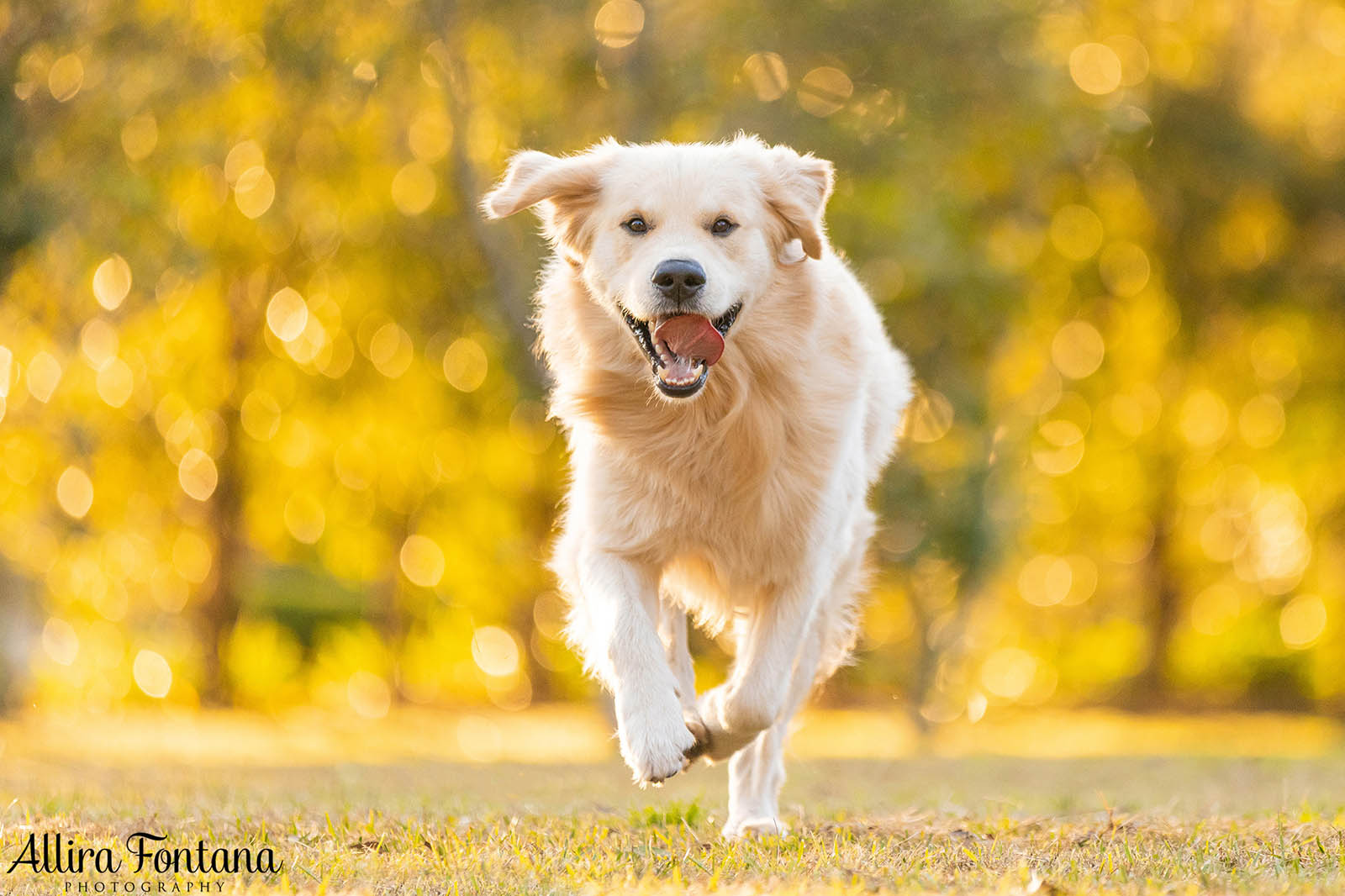 Hamish's photo session at Eric Woods Reserve