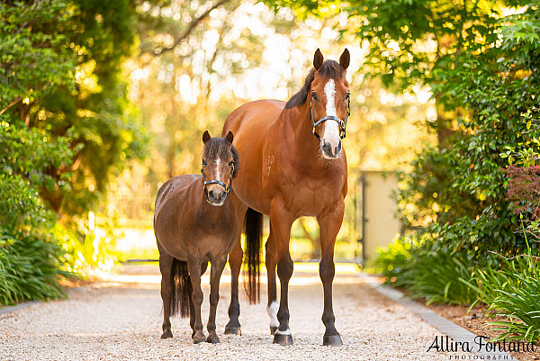 Harley and Poppy's photo session at home