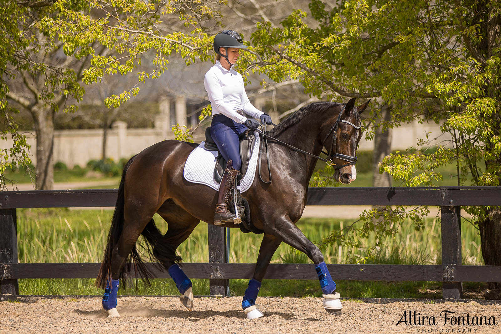 Springing into Spring with BARE Equestrian 