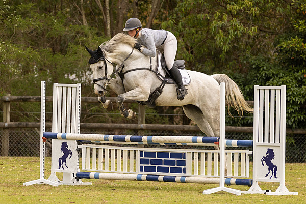 GEC Show Jumping Competition November 2022