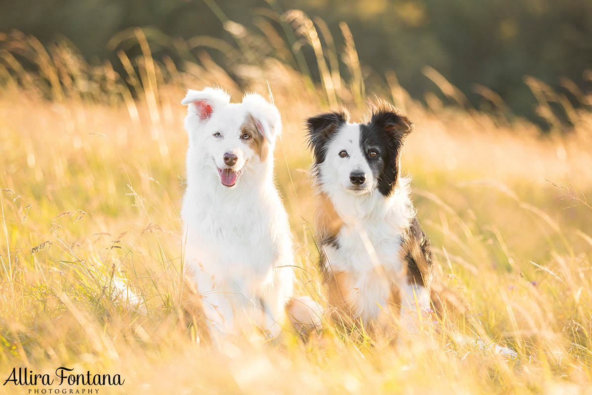 Maggie and Chase's photo session at Rouse Hill Regional Park 