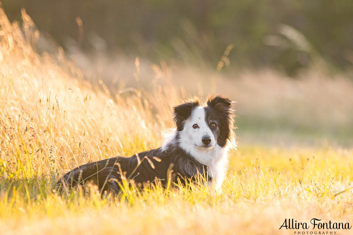 Maggie and Chase's photo session at Rouse Hill Regional Park 