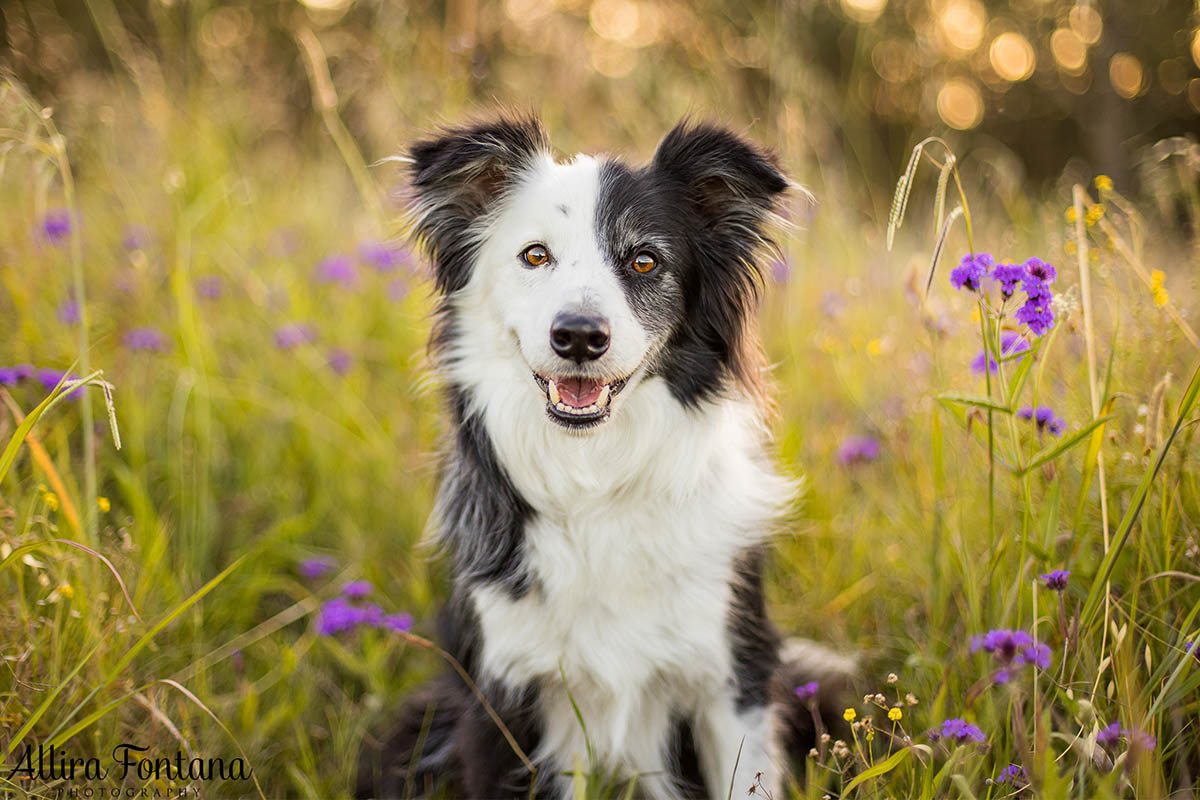 Maggie and Chase's photo session at Rouse Hill Regional Park 