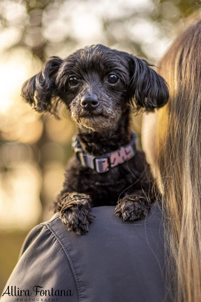 Roxy and Franklin's photo session at Lakes Edge Park