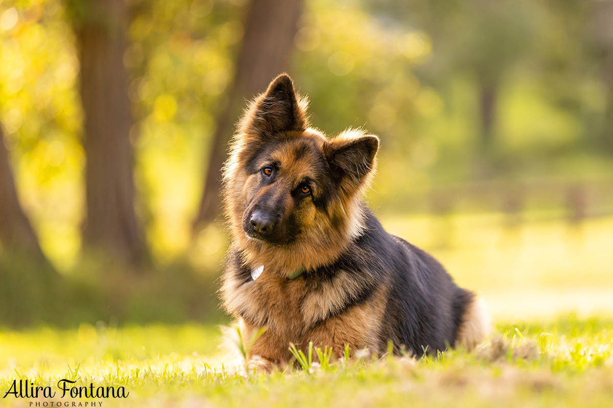 Xena and Connie's photo session at home 