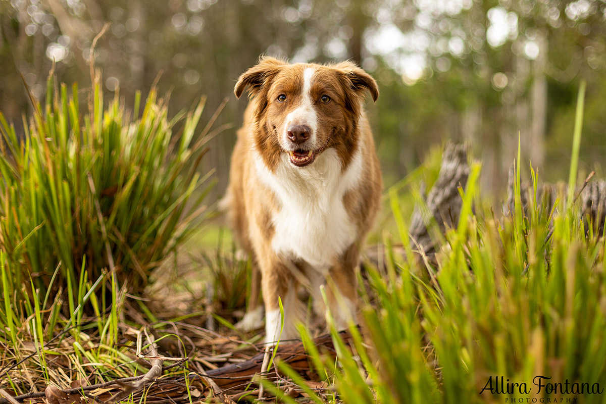 Our short holiday on the stunning Mid North Coast 