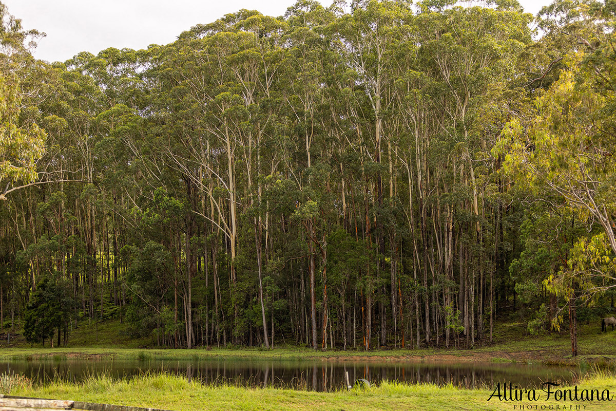 Our short holiday on the stunning Mid North Coast 