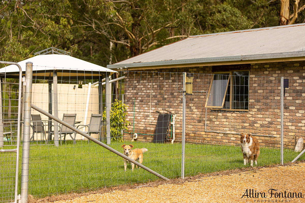 Our short holiday on the stunning Mid North Coast 