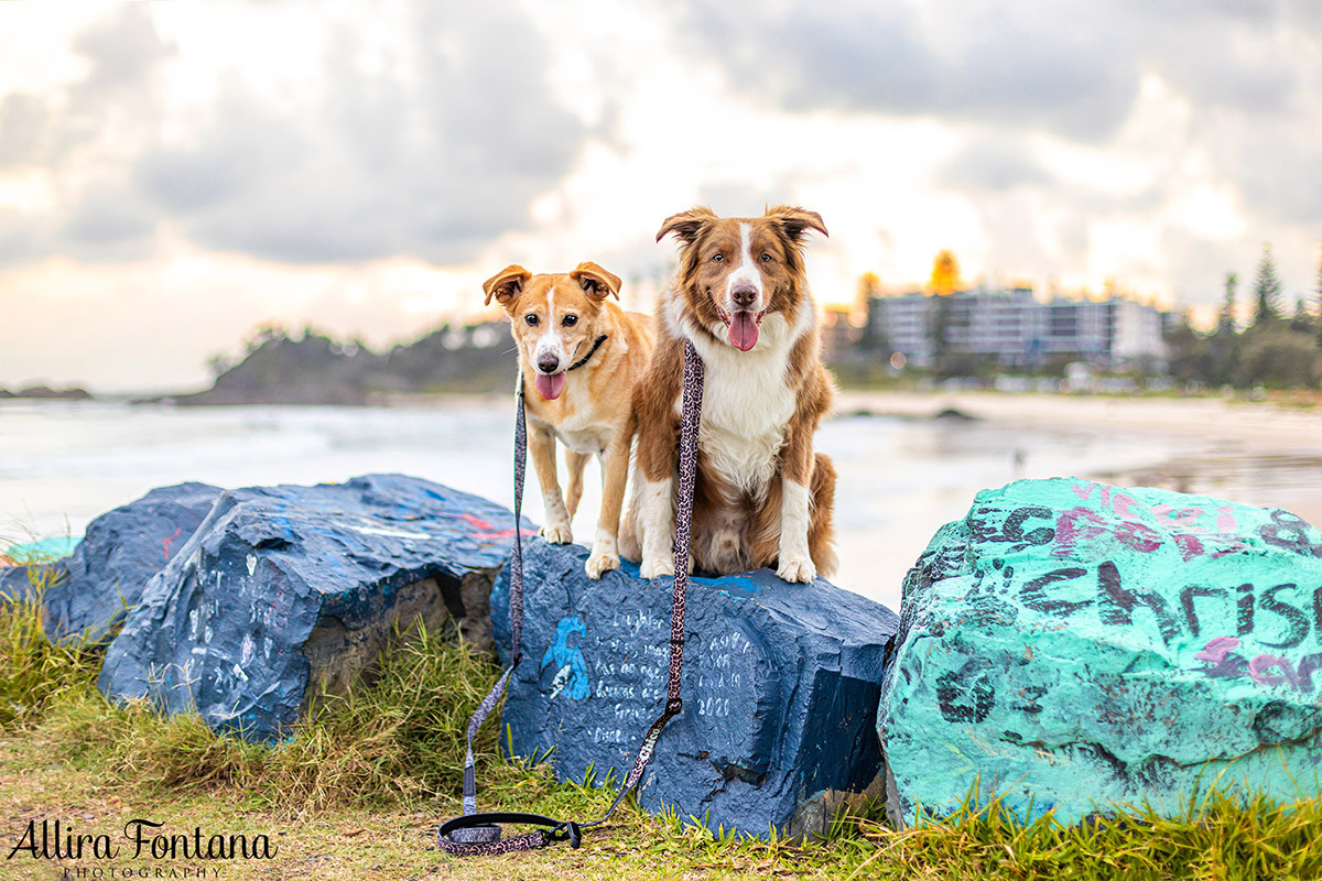 Our short holiday on the stunning Mid North Coast 