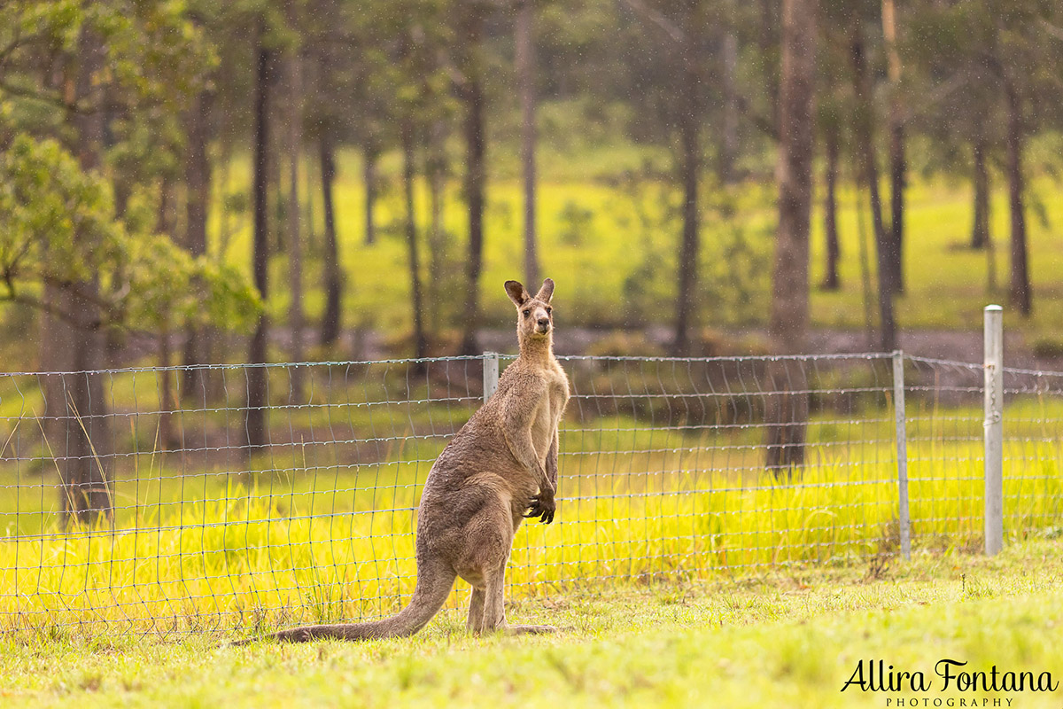 Our short holiday on the stunning Mid North Coast 