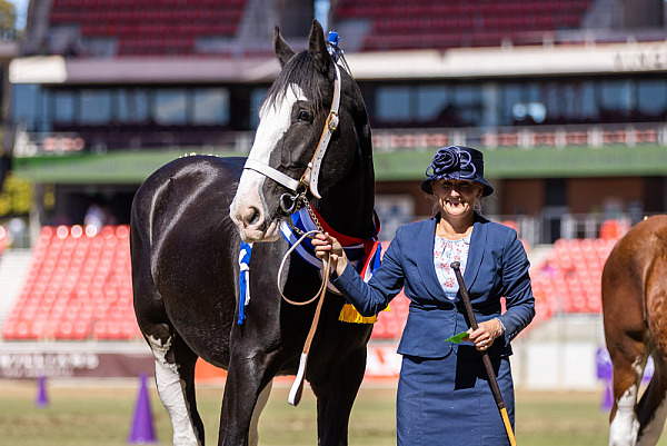 Sydney Royal Easter Show 2023