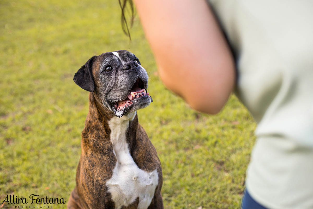 Buddy's photo session at Eric Woods Reserve 