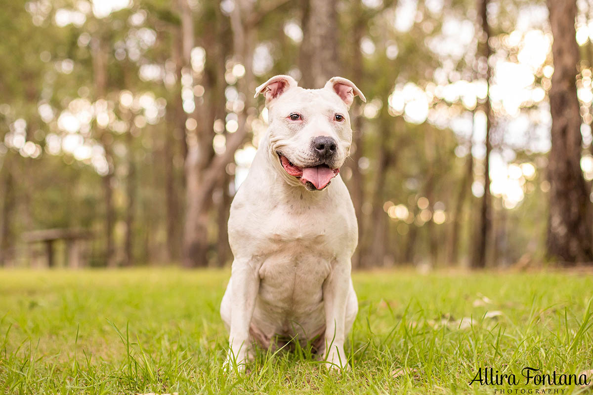 Ella's photo session at Rouse Hill Regional Park