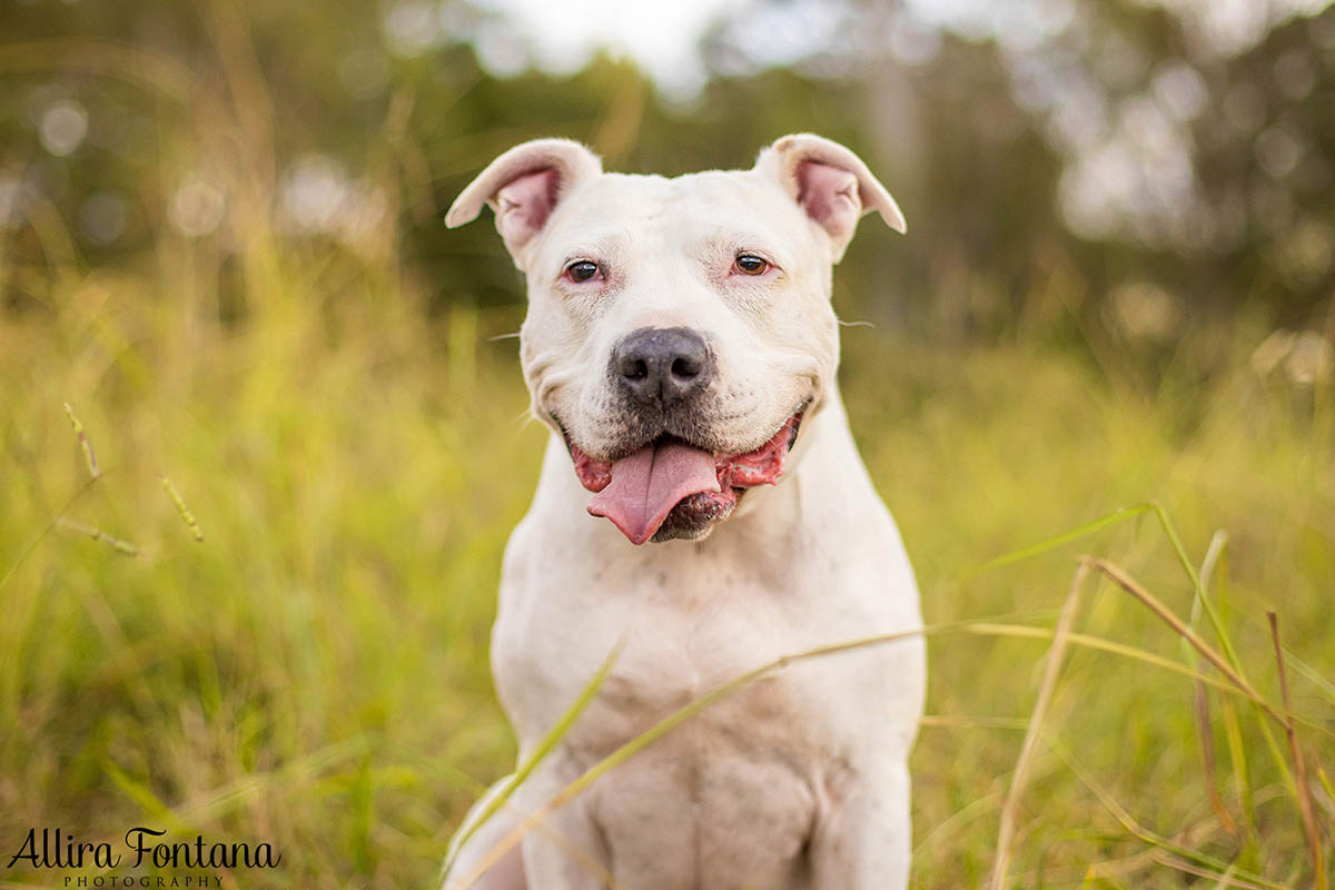Ella's photo session at Rouse Hill Regional Park